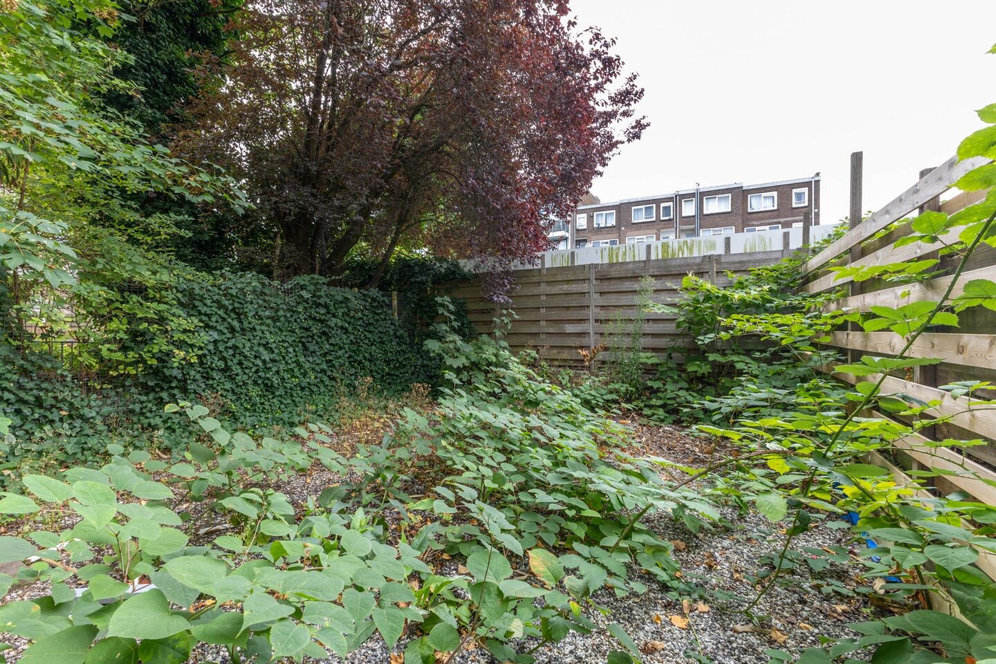 Appartement te koop: Bergweg 295A, Rotterdam