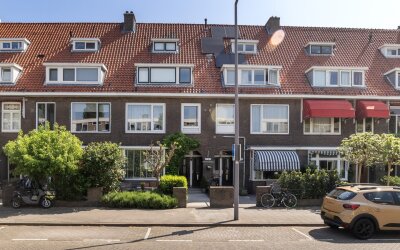 Zonnebloems. 29-A