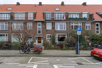 Zonnebloems. 49-A