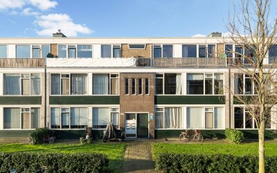 Zonnebloems. 38-B