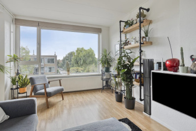 Molenstraat 74