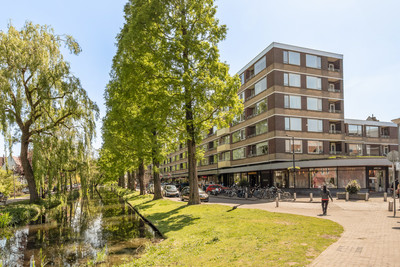 Streksingel 61
