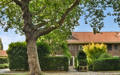 Molenlaan 258