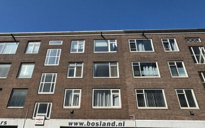 Bosland 15-D