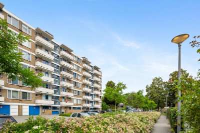 Van der Helmstraat 297