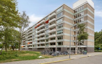 Everaertstraat 55