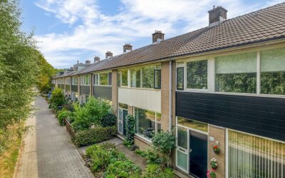 Boterbloem 21