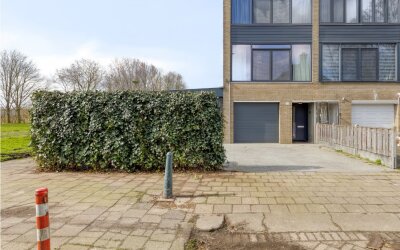 Passiebloem 43