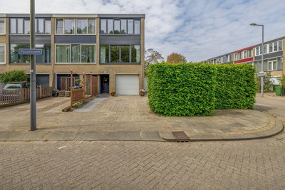 Passiebloem 9