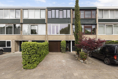 Passiebloem 14