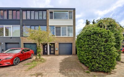 Passiebloem 40