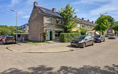 Geelkruid 83