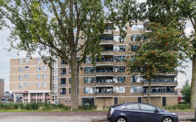 Rietdekkerweg 100