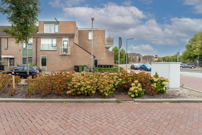Zevenkampse. 496