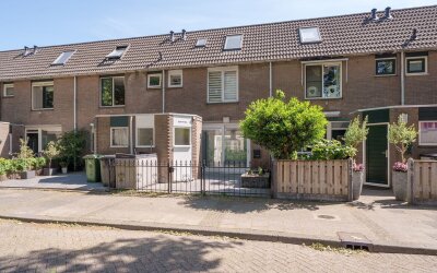 Gemshoorn 20