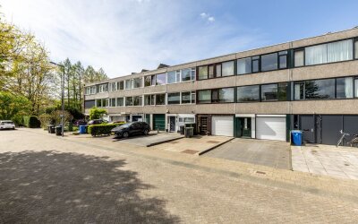 Vederdistel 17