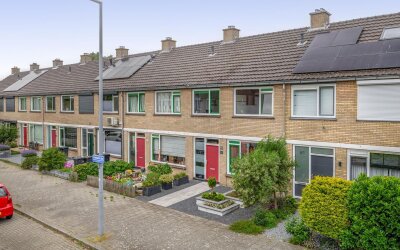 Heidekruid 63
