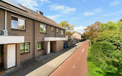 Lutulisingel 45