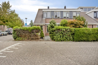 Witte Klaver 11
