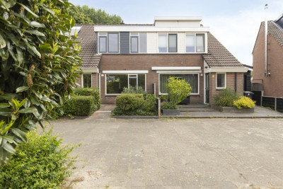 Witte Klaver 23