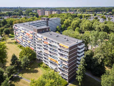Joliotplaats 344