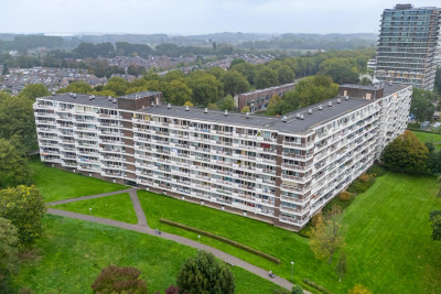 Joliotplaats 672