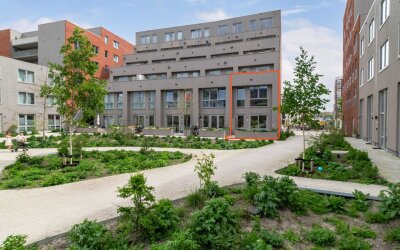 Helen Suzmanhof 142