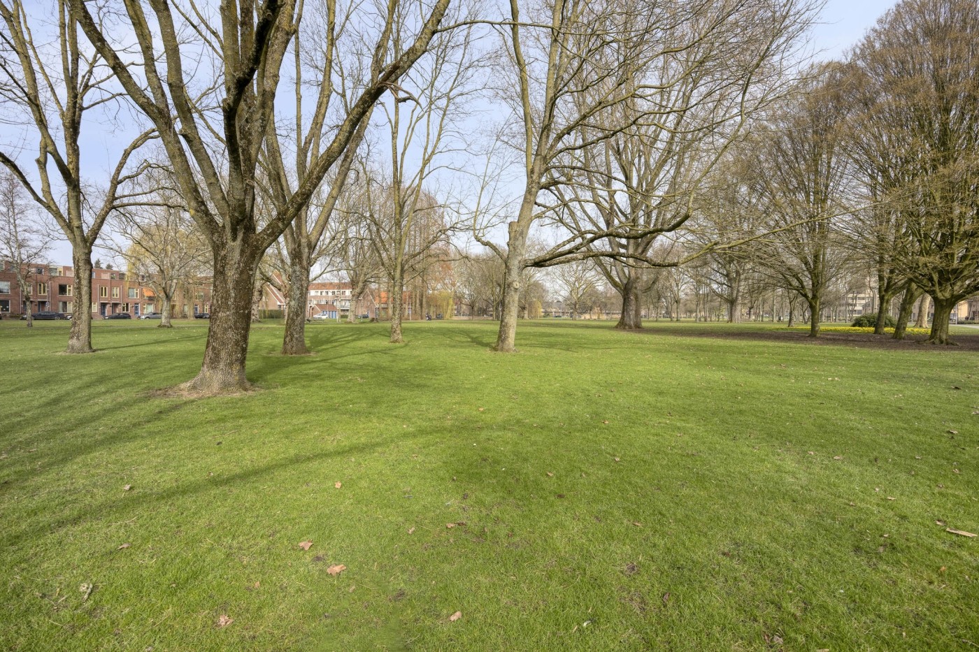 Appartement te koop: Leo Lashleylaan 40B, Rotterdam