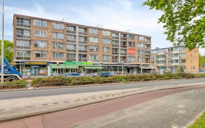 Molenvliet 117