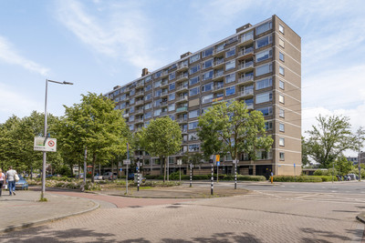 Molenvliet 170