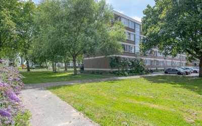 Plotinusstraat 114