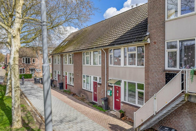 Rhijnauwens. 208