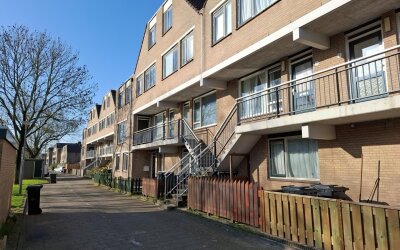 Rhijnauwens. 15