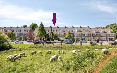 C.D.Tuinenburgstraat 21-B