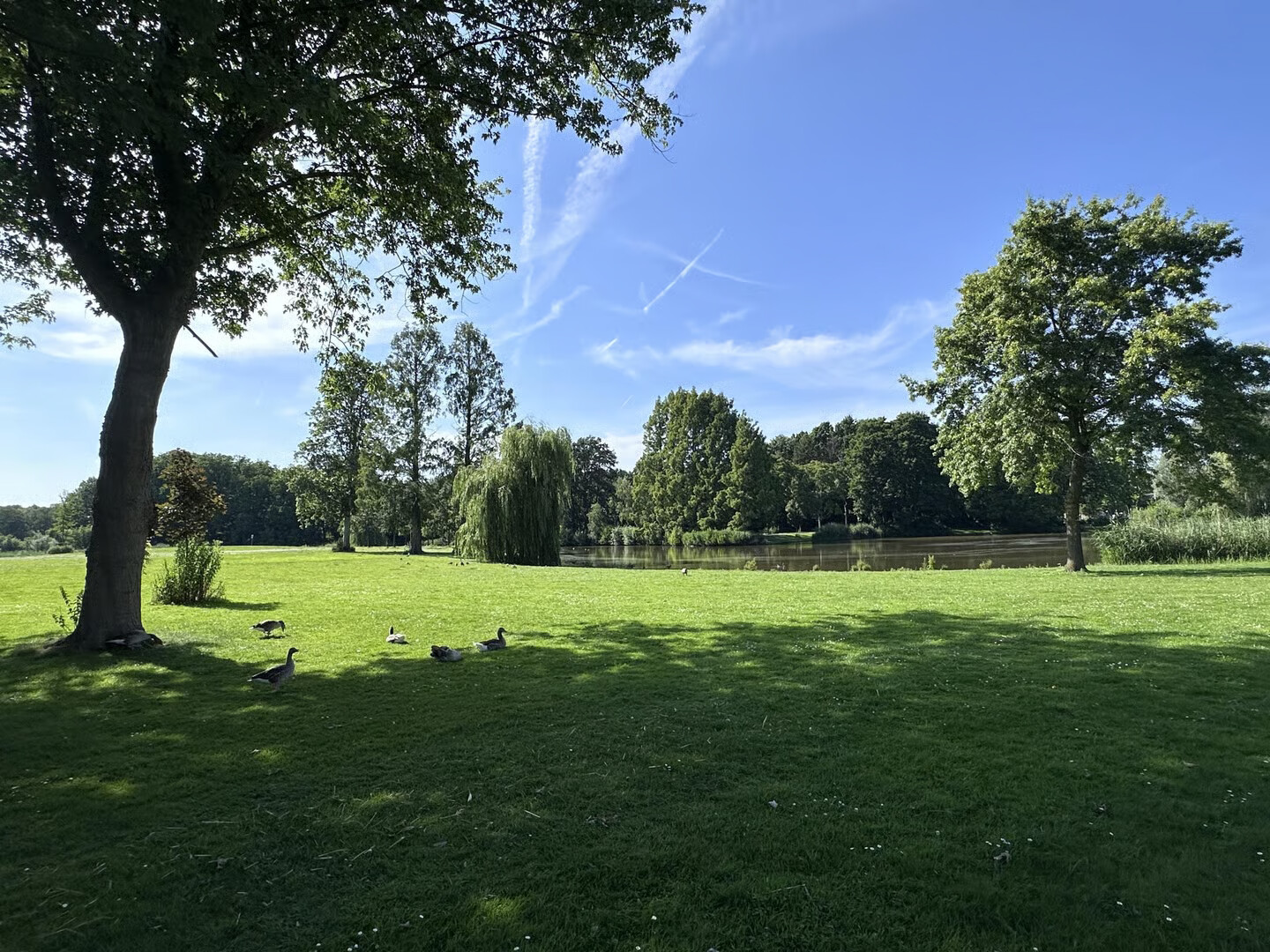 Hoekwoning te koop: Van Lieshoutstraat 30, Rotterdam