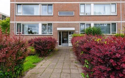 Bredenoord 193
