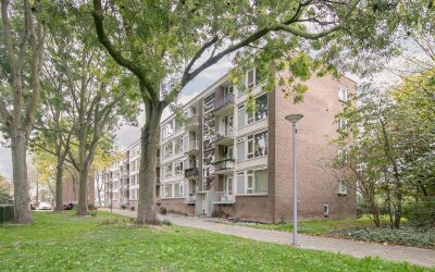 Wilbertoord 245