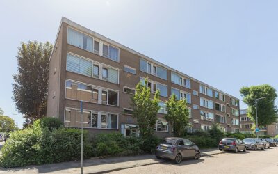Schalkeroord 36