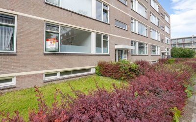Ruigoord 25