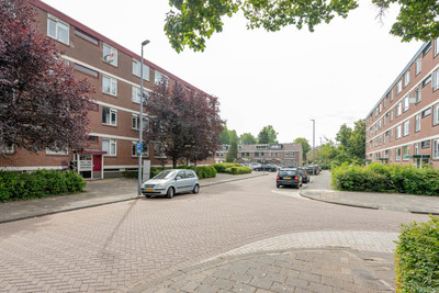 Ruigoord 64