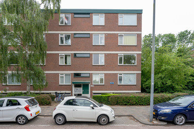 Ruigoord 204
