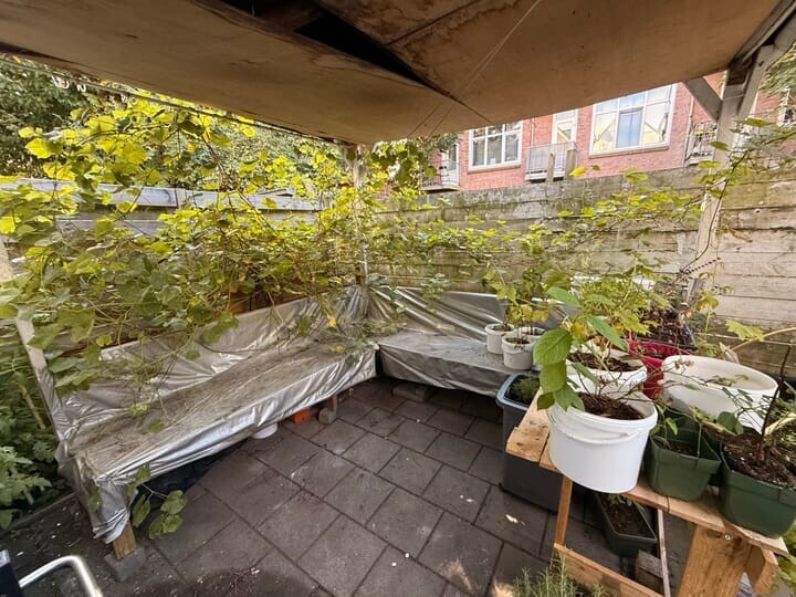 Tussenwoning te koop: Frans Bekkerstraat 50, Rotterdam