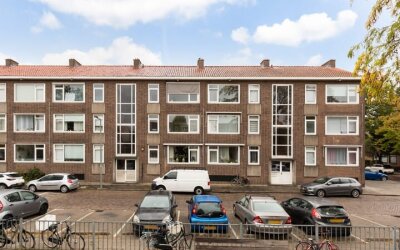 Aalscholver. 20-B