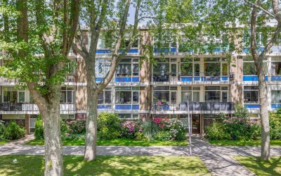 Schoonegge 311