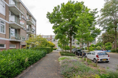 Ruigenhoek 71