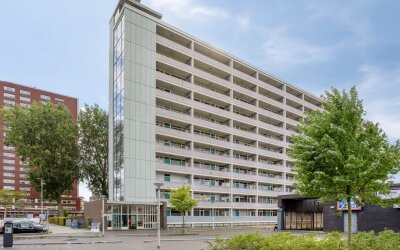 Plein 1953 91