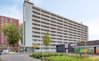 Plein 1953 99