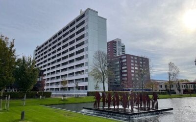 Plein 1953 117