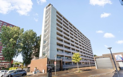 Plein 1953 160