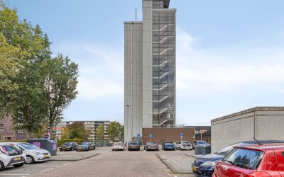 Plein 1953 164